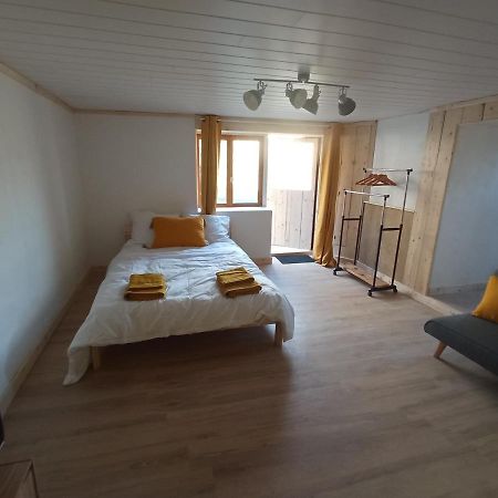 Cransac Studio Meuble Proche Des Thermes מראה חיצוני תמונה